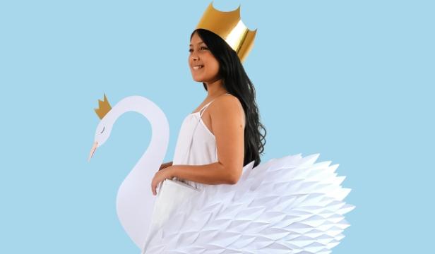 Crafters Choice Swan Costume
